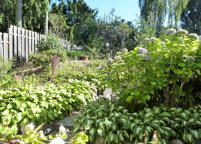 Schwalbennest Appartement *