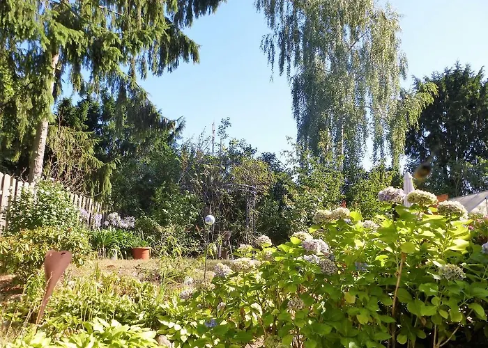 Schwalbennest Appartement *